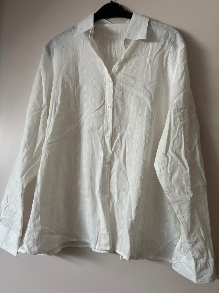 Dazy dames blouse maat XL, lange mouw, Kleding | Dames, Blouses en Tunieken, Ophalen of Verzenden, Zo goed als nieuw, Maat 46/48 (XL) of groter
