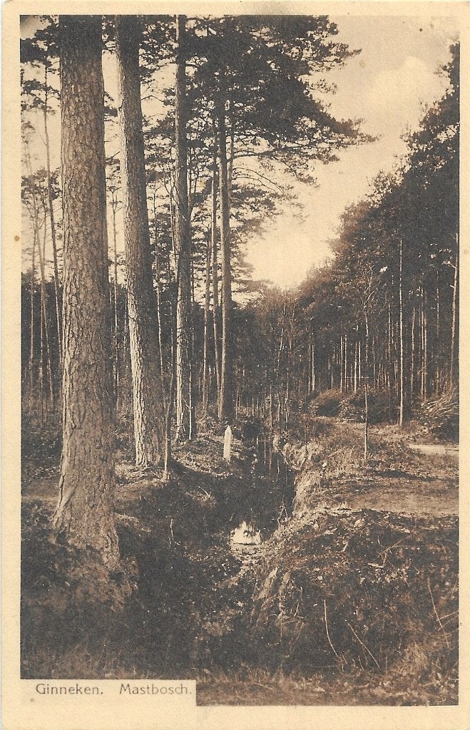 AK Breda, Ginneken - Mastbosch, Verzenden, 1920 tot 1940, Ongelopen, Noord-Brabant