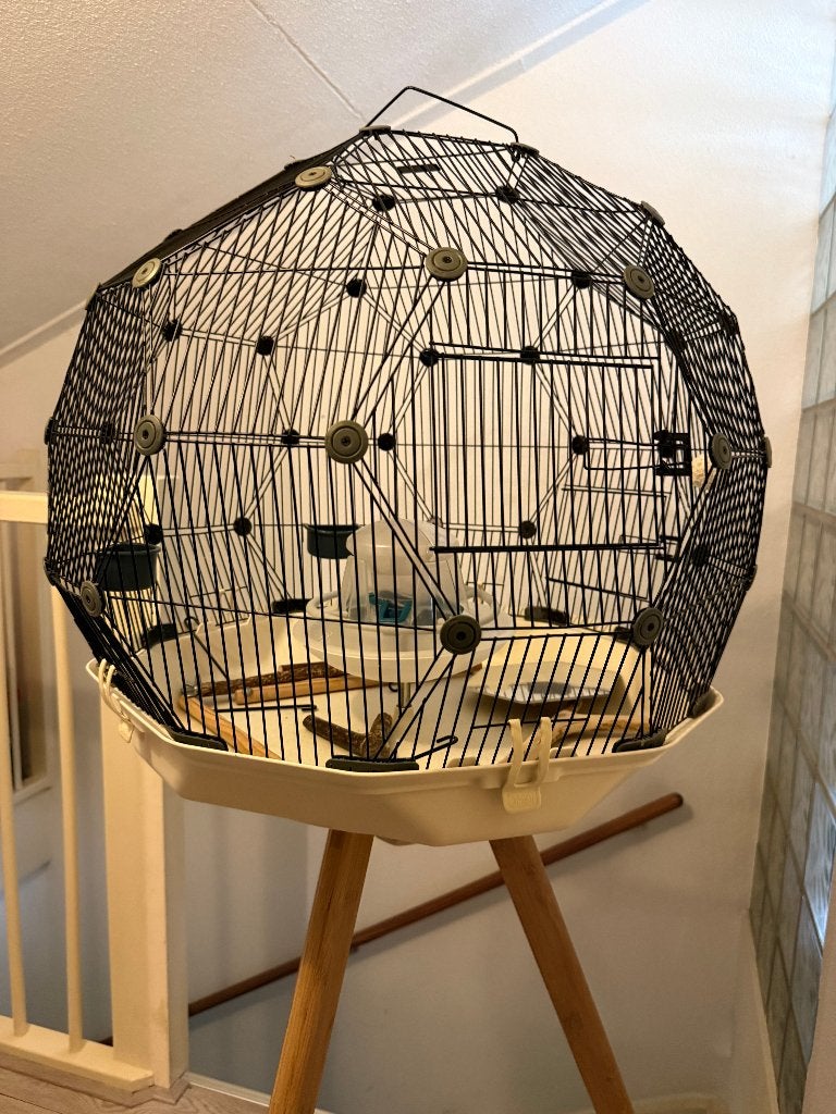 Omlet Geo 60 design vogelkooi incl. standaard en accessoires, Dieren en Toebehoren, Ophalen, Zo goed als nieuw, Metaal, Vogelkooi