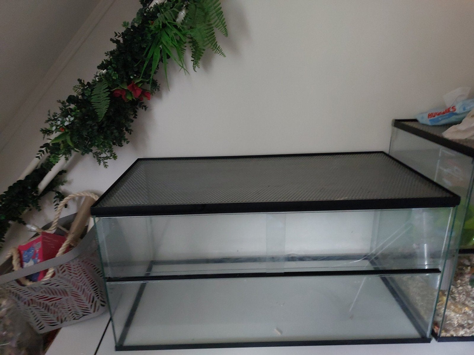 terrarium 80/40/40, Dieren en Toebehoren, Ophalen