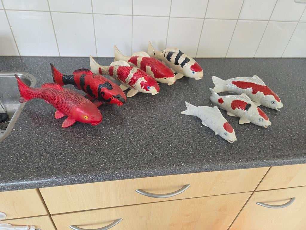 Beeltjes van Koi karpers, Ophalen, Zo goed als nieuw