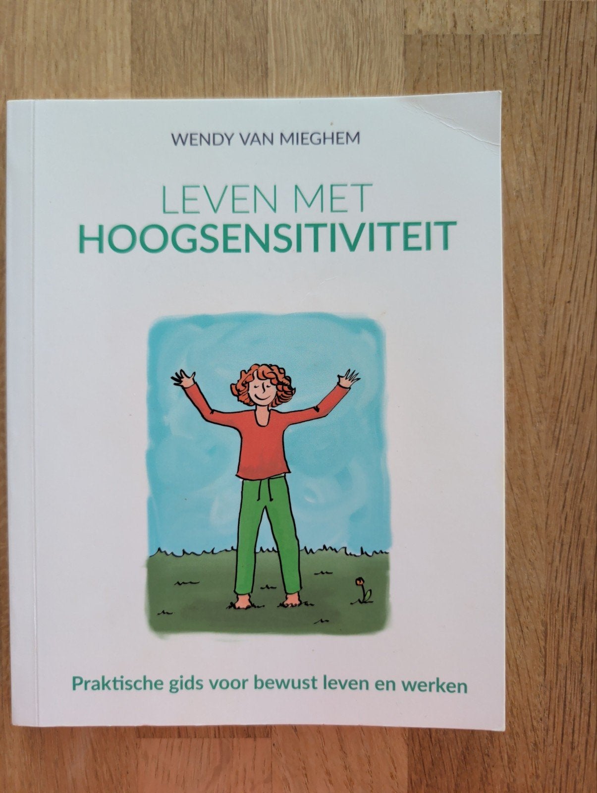 Leven met Hoogsensitiviteit - Praktische gids, Achtergrond en Informatie, Ophalen of Verzenden, Zo goed als nieuw, Wendy van Mieghem