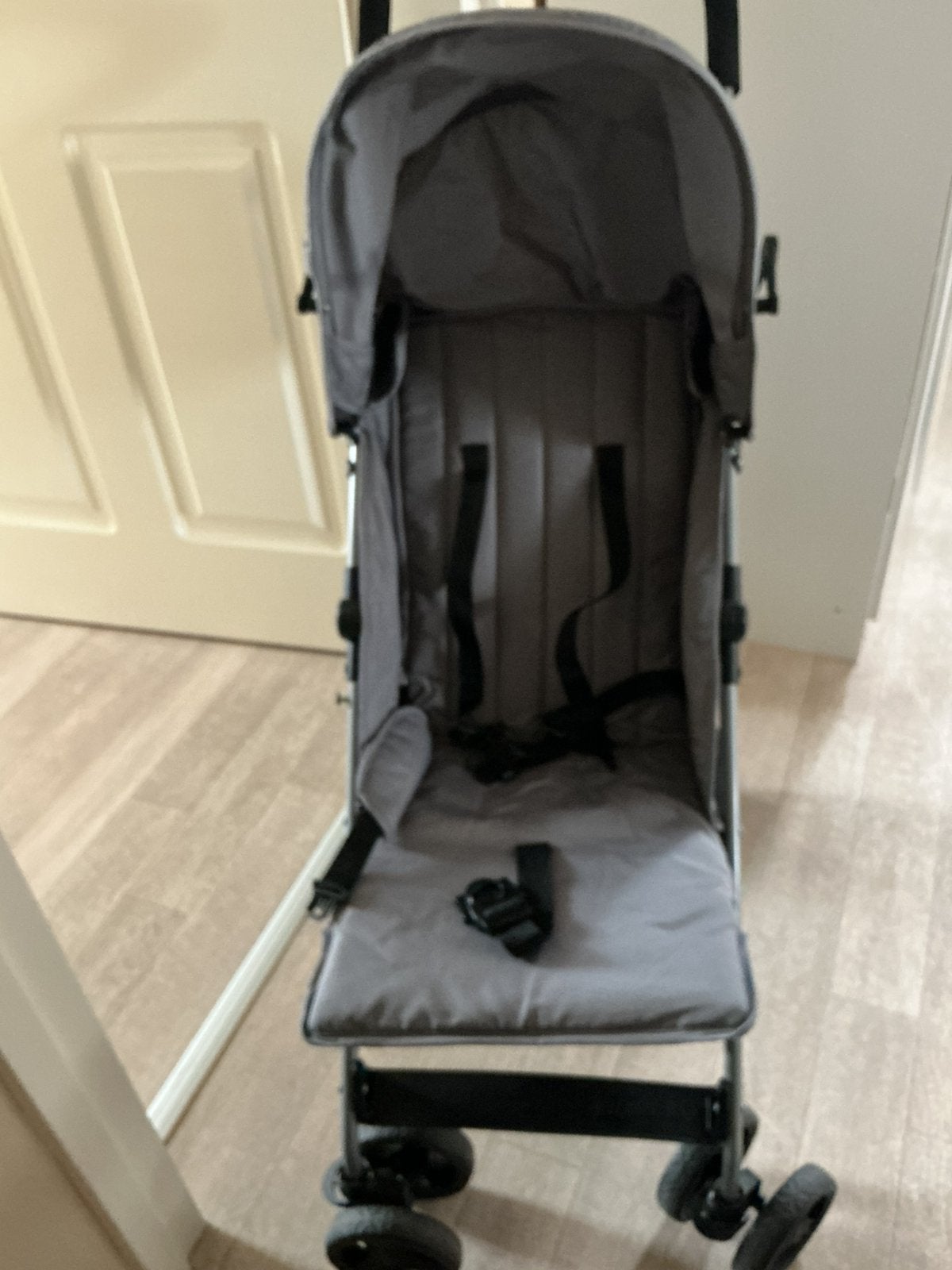 Zgan Buggie van prenatal, Ophalen of Verzenden, Nieuw, Overige merken, Verstelbare rugleuning