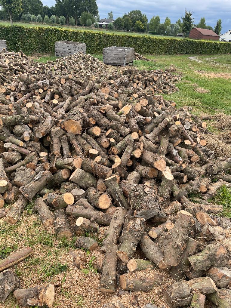 Openhaardhout Haardhout Kachelhout Appelhout Fruitbomenhout, Tuin en Terras, Haardhout, Minder dan 3 m³, Ophalen, Overige houtsoorten