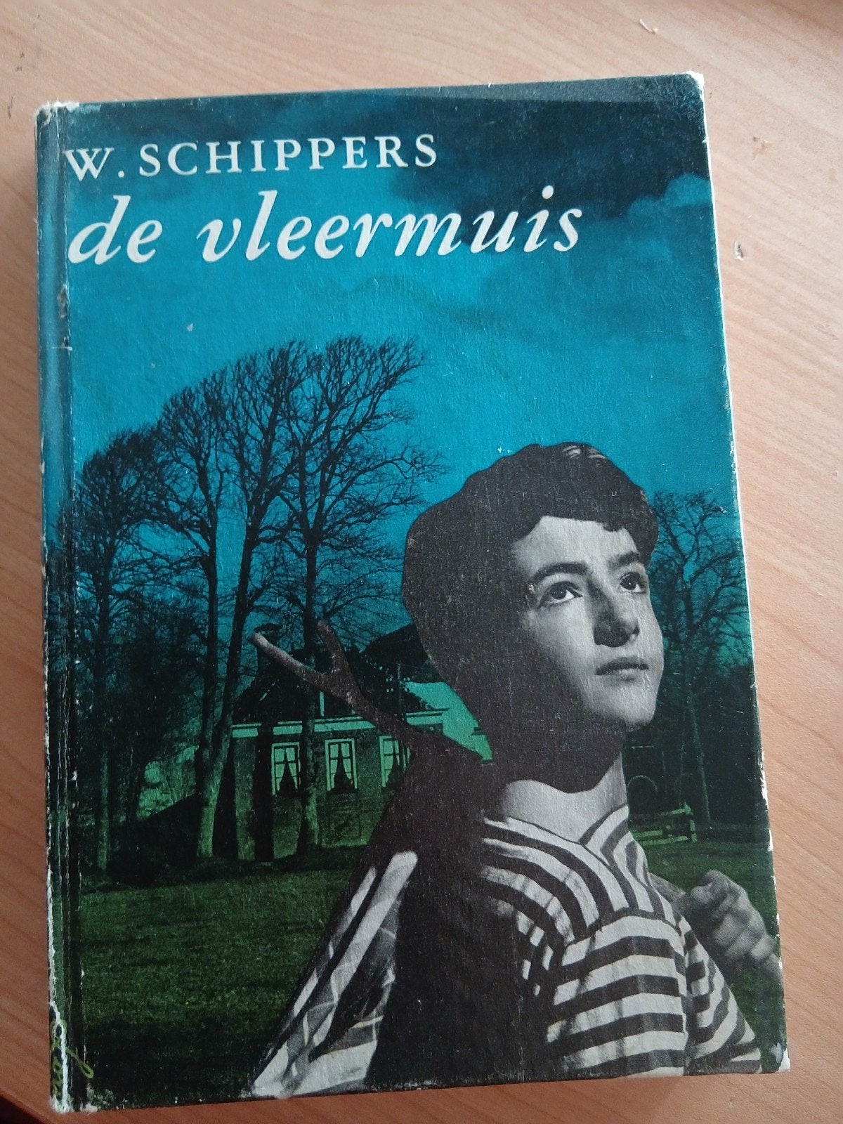 W. Schippers - De Vleermuis (Jeugdboek), Ophalen of Verzenden, Gelezen, W. Schippers, Fictie algemeen