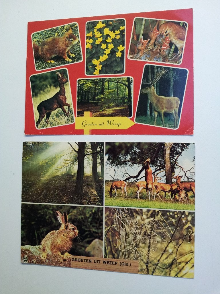 Ansichtkaarten Groeten uit Wezep dieren natuur per stuk bied, Ophalen of Verzenden, 1980 tot heden, Gelopen, Overige soorten