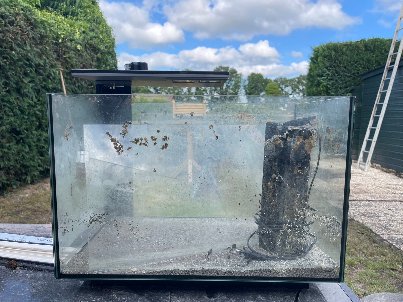 Superfish aquarium, Ophalen, Leeg aquarium