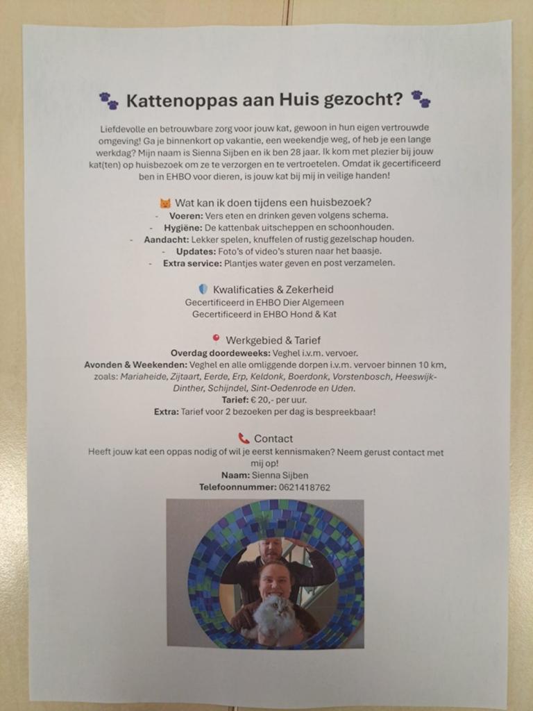 Katten oppas aangeboden / catsitter, Meerdere dieren