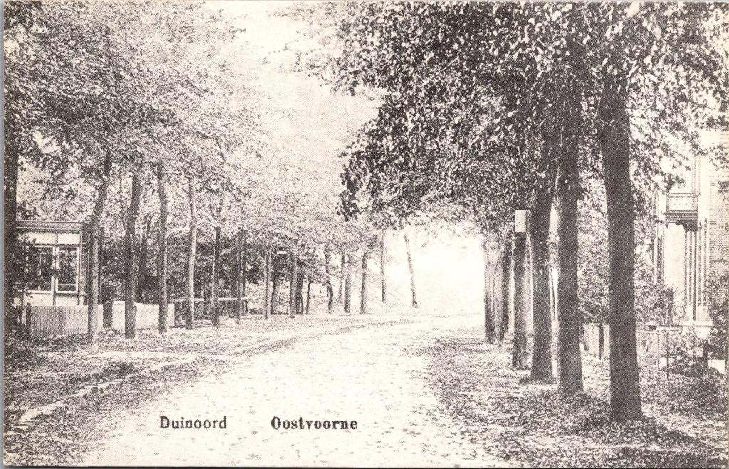 Oostvoorne - Duinoord, Verzenden, Voor 1920, Ongelopen, Noord-Holland