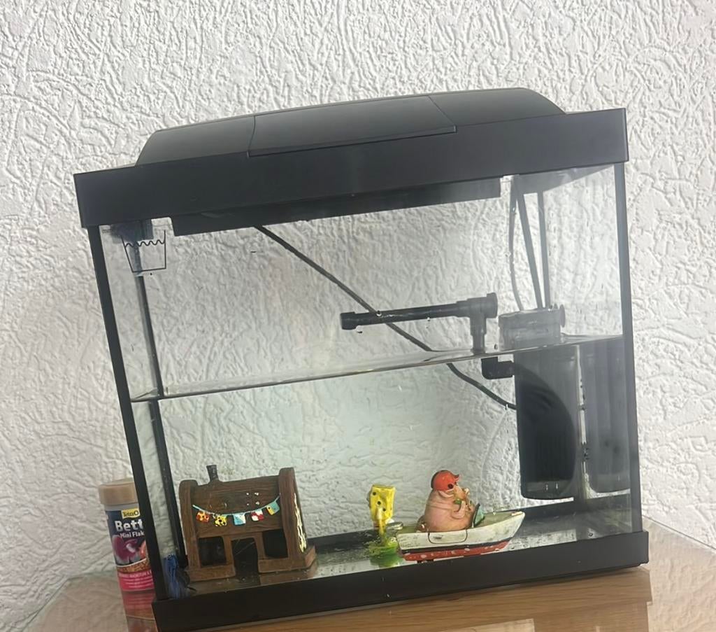 Vis met aquarium, Dieren en Toebehoren, Vissen | Aquaria en Toebehoren, Ophalen of Verzenden, Zo goed als nieuw, Leeg aquarium