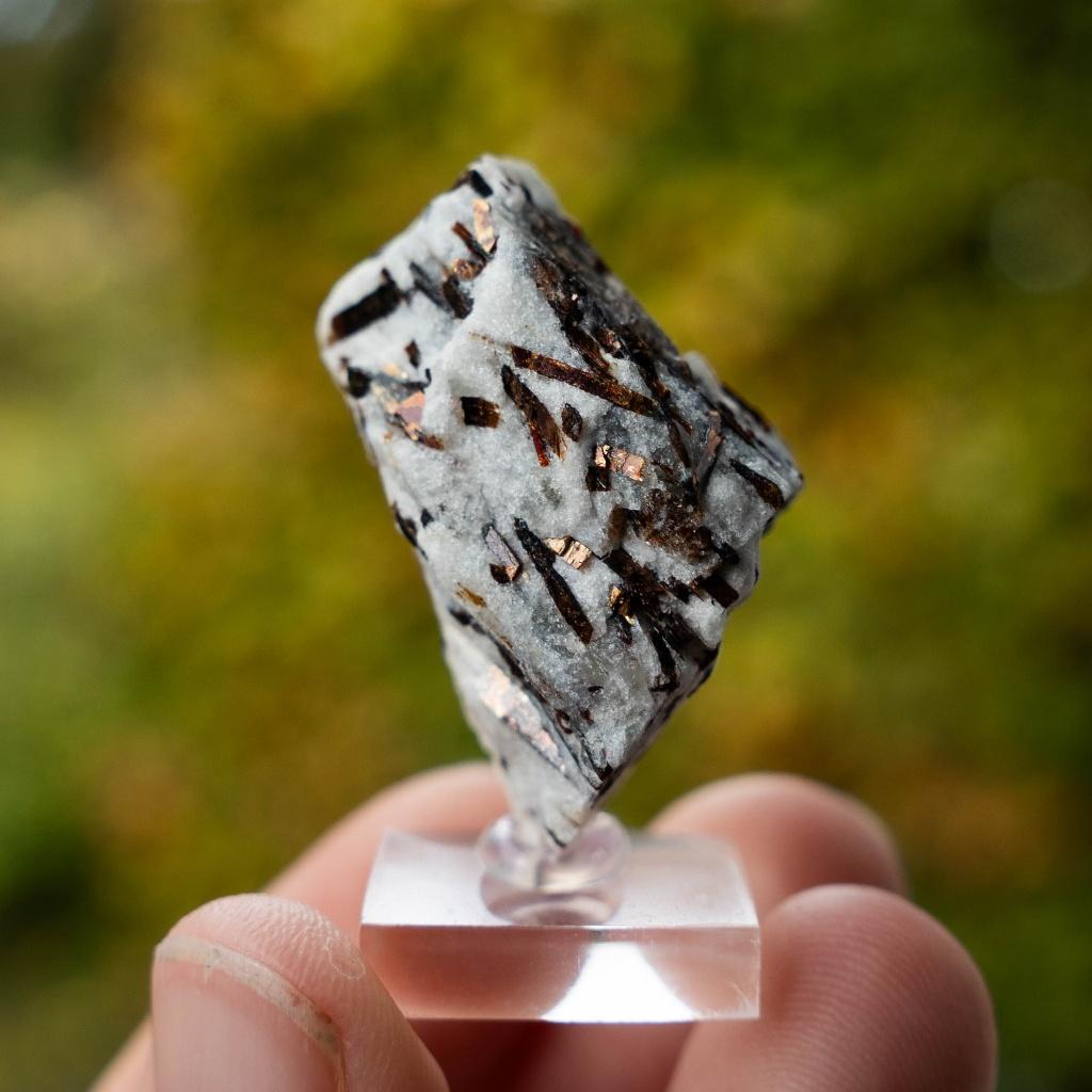 astrofylliet #8, Ophalen of Verzenden, Mineraal