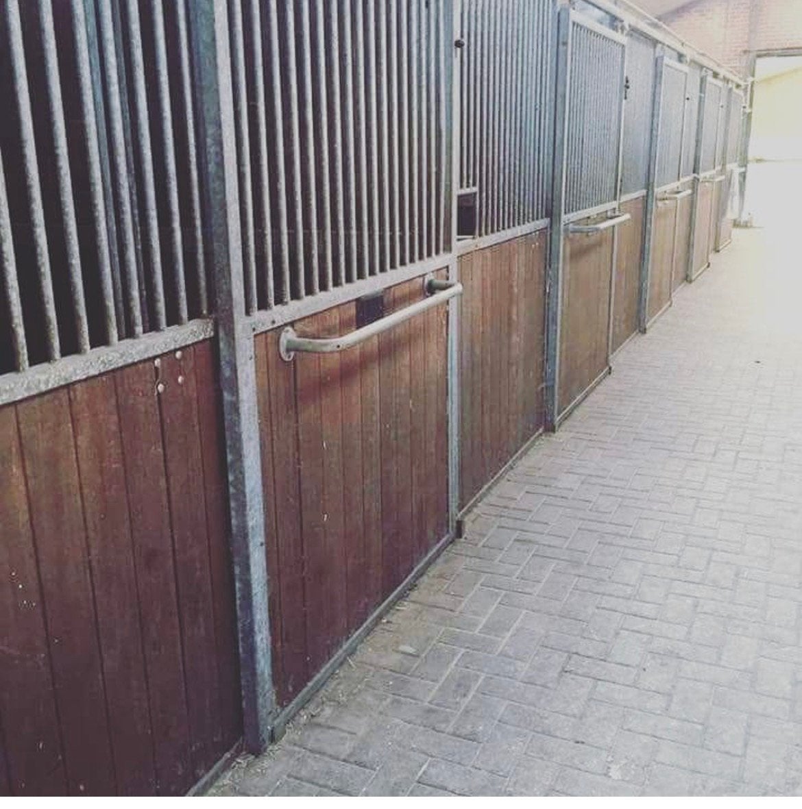Paardenstallen, Dieren en Toebehoren, Stalling, 4 paarden of pony's of meer