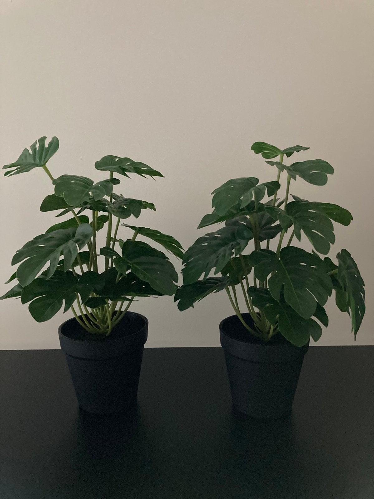 Kunstplant Monstera 2 stuks., Binnen, Groen, 32 cm, Kunstplant