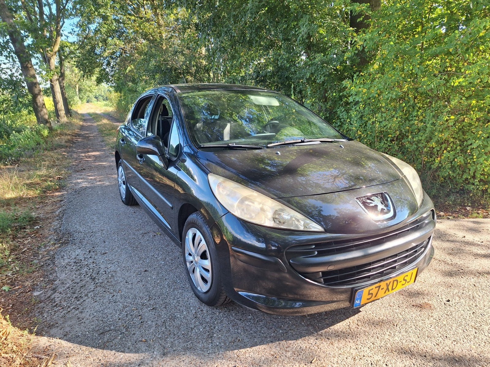 Peugeot 207 1.4 5DRS 2007 Zwart, Voorwielaandrijving, Stof, 1360 cc, Zwart