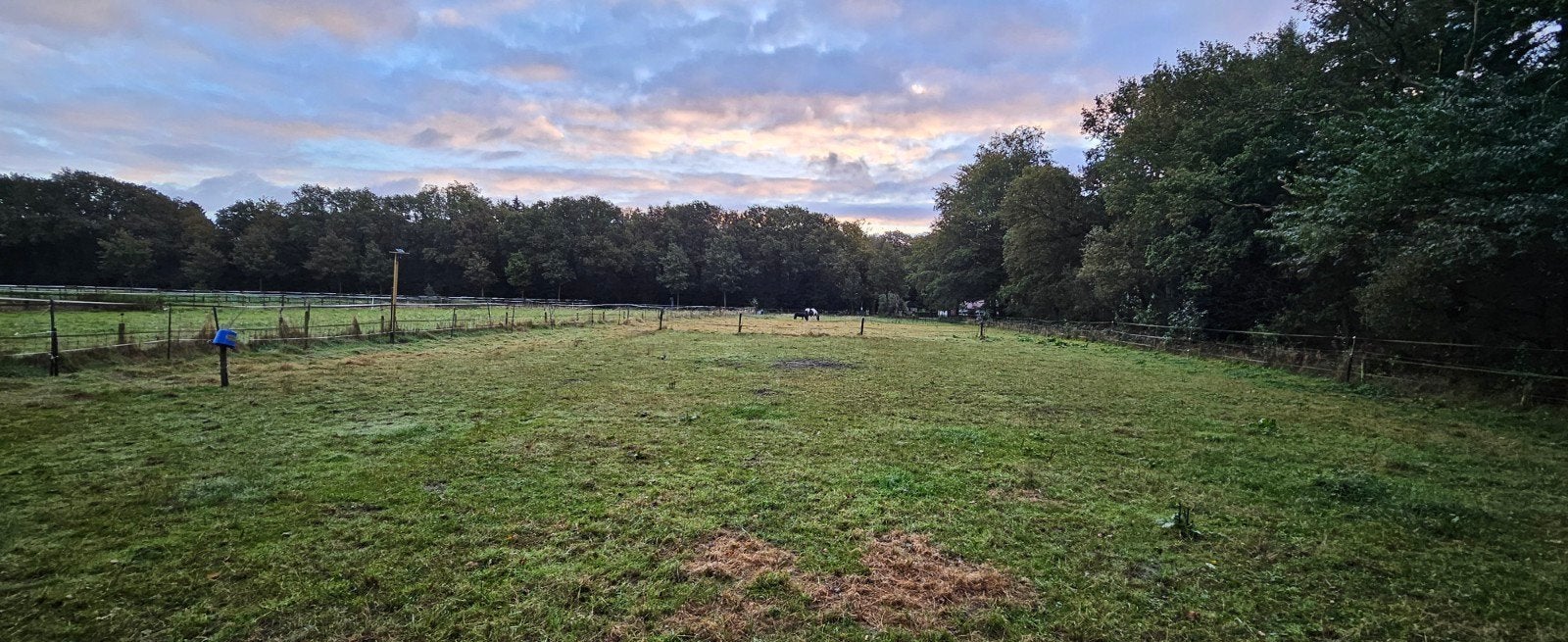 Weiland gezocht omgeving Epe., Dieren en Toebehoren, Stalling, 2 of 3 paarden of pony's