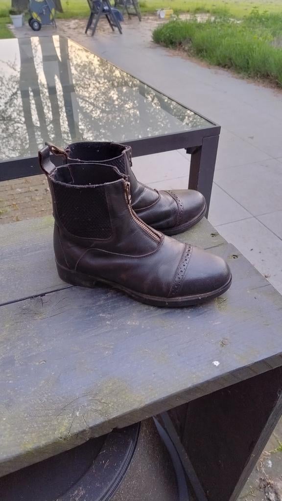 Harry's Horse Jodhpurs, korte paardrijlaarzen van leer, Kleding | Dames, Ophalen, Zo goed als nieuw, Zwart