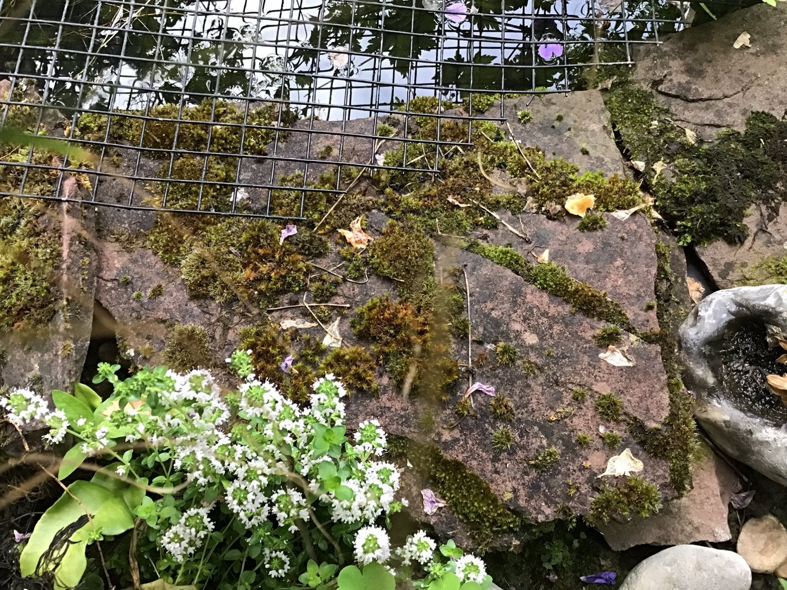 TE KOOP / PARtij  FLAGSTONE,s, Tuin en Terras, Grind, Keien en Split, Ophalen, Gebruikt