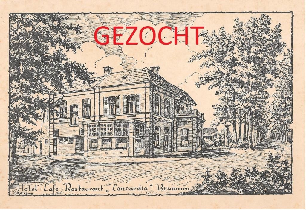 Gezocht: prentbriefkaarten van H. Holterman, Ophalen of Verzenden, Gelderland