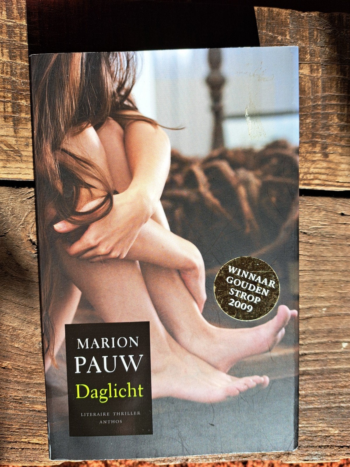 Marion Pauw - Daglicht, Ophalen of Verzenden, Zo goed als nieuw, Marion Pauw