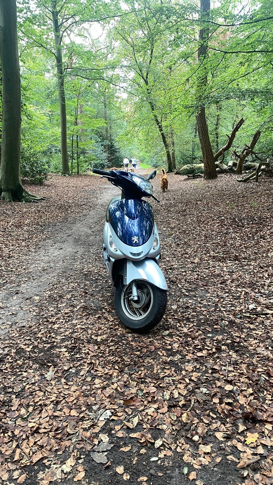 Peugeot V-clic brommer, Fietsen en Brommers, Ophalen, Overige modellen, 49 cc, Zo goed als nieuw