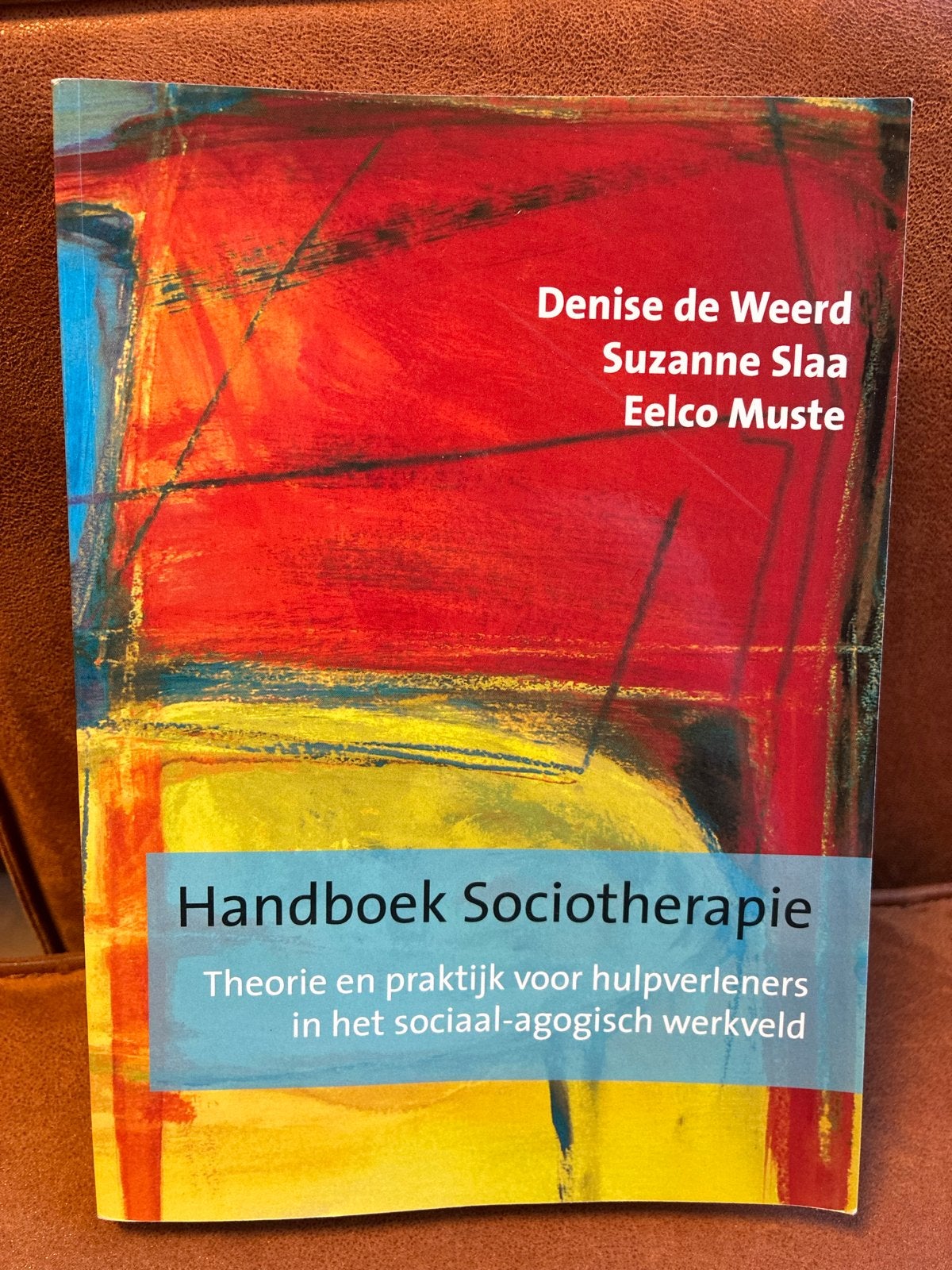 Handboek Sociotherapie - Theorie en praktijk, Boeken, Ophalen of Verzenden, Gamma, Zo goed als nieuw, HBO