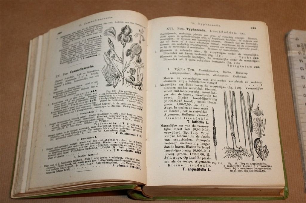 Geïllustreerde Schoolflora 1915 — Met Papieren Meetlat, Ophalen of Verzenden, Gelezen