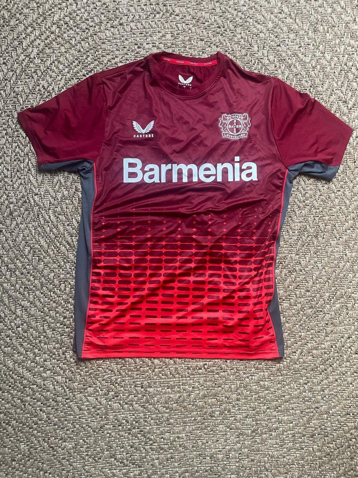 Bayer Leverkusen Thuisshirt 2023/2024 Maat L, Maat L, Ophalen of Verzenden, Zo goed als nieuw, Shirt