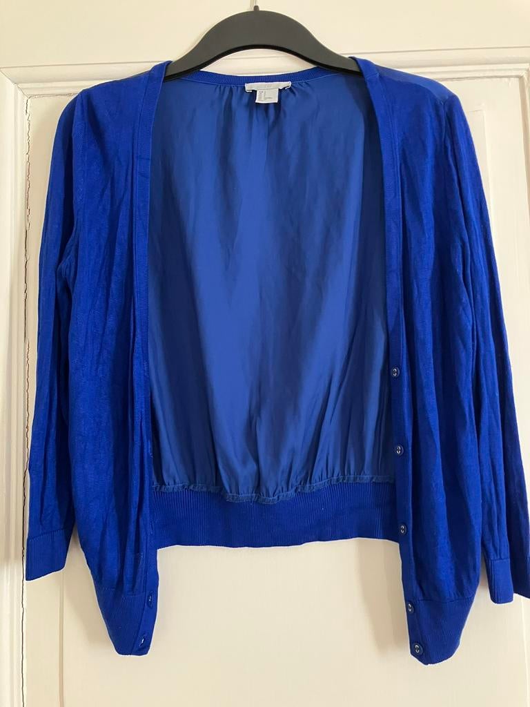 Koningsblauw vestje H&M mt s, Ophalen of Verzenden, Zo goed als nieuw, Maat 38/40 (M), Lange mouw