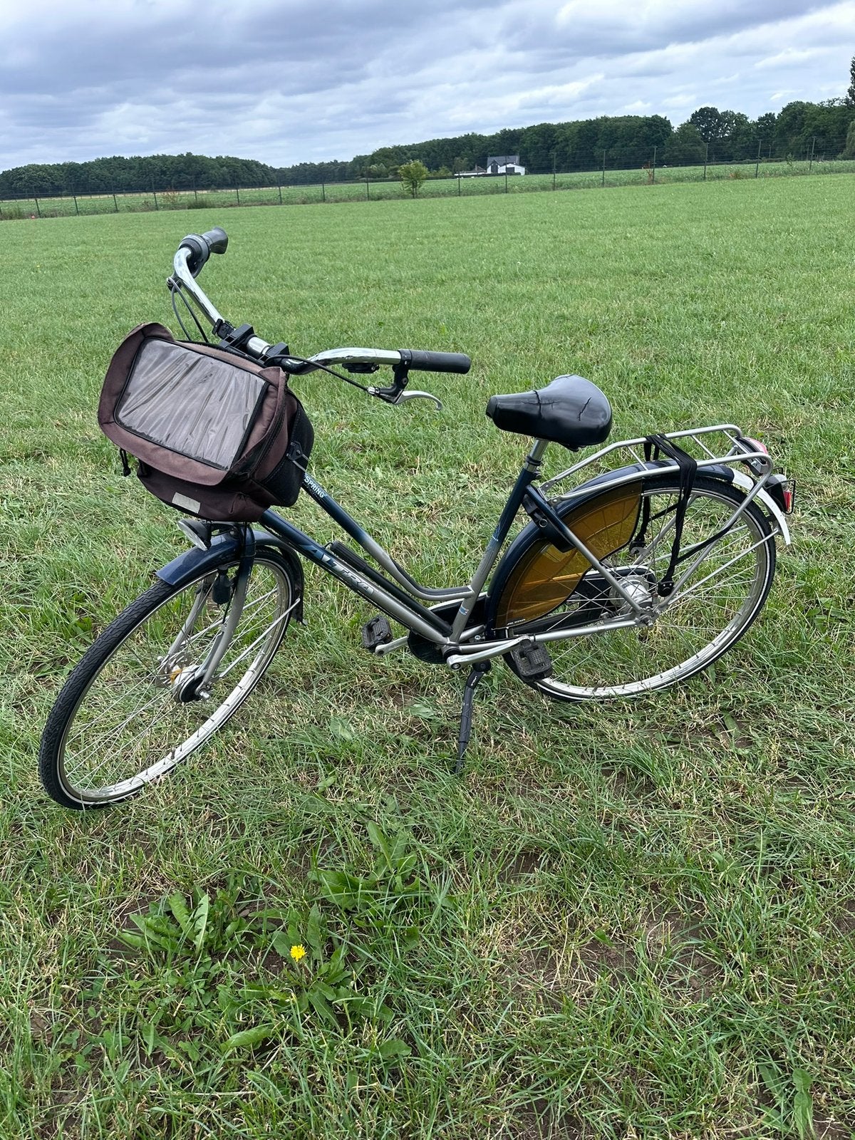Damesfiets Spring Altra 28 inch, 53 tot 56 cm, Ophalen of Verzenden, Zo goed als nieuw, Overige merken