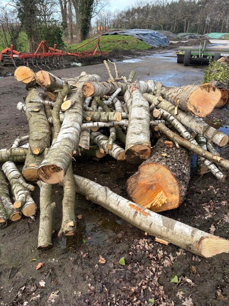 Brandhout, Tuin en Terras, Haardhout, 6 m³ of meer, Ophalen of Verzenden, Berkenhout, Stammen