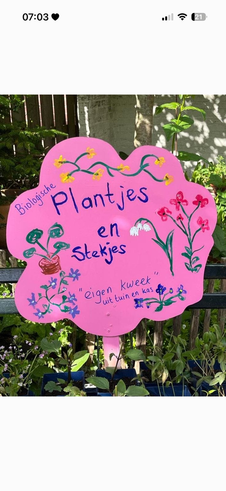 Biologische plantjes en stekjes uit eigem kweek en cas, Ophalen, Zo goed als nieuw