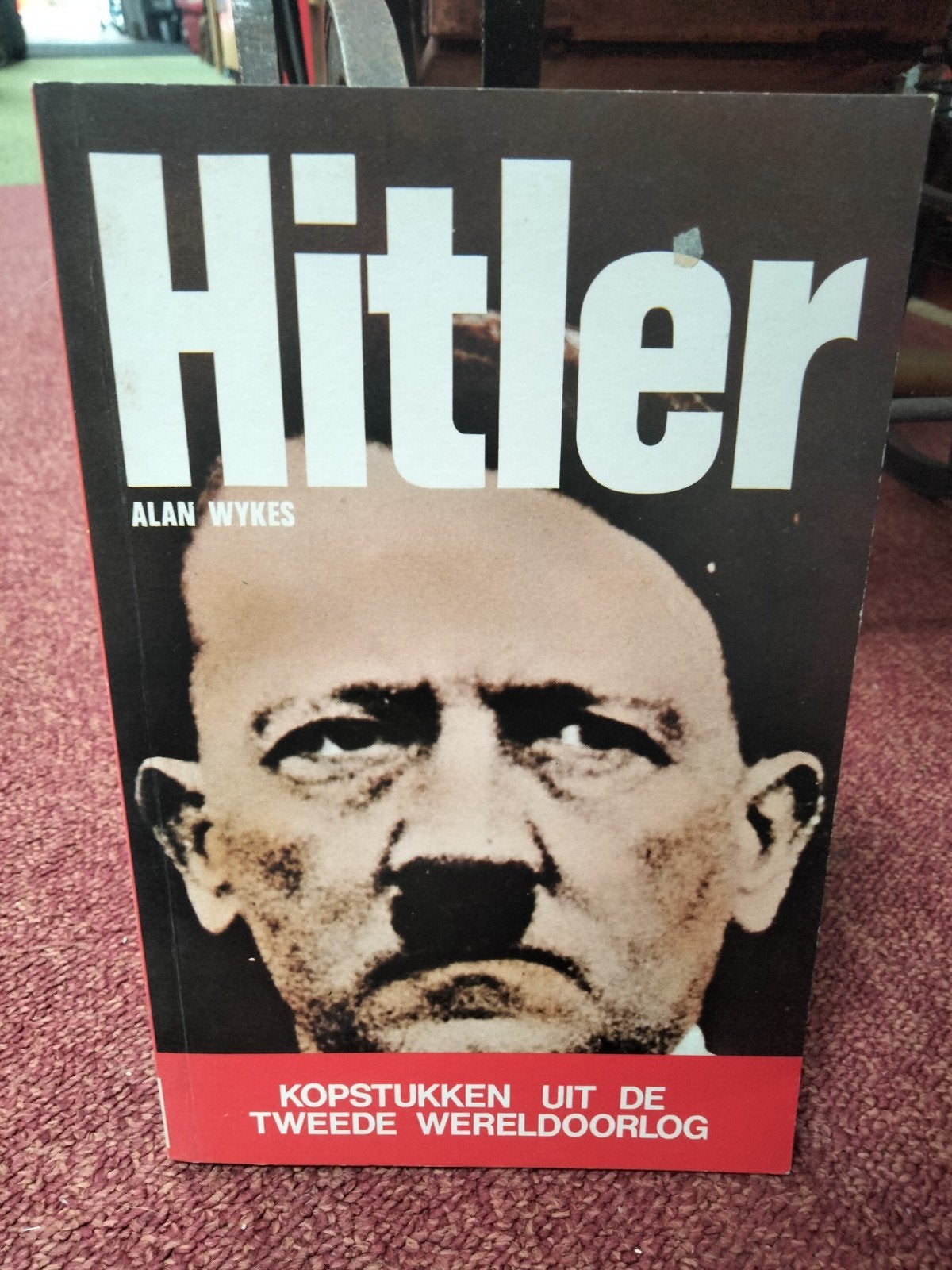 Hitler Alan Wykes, Ophalen of Verzenden, Gelezen