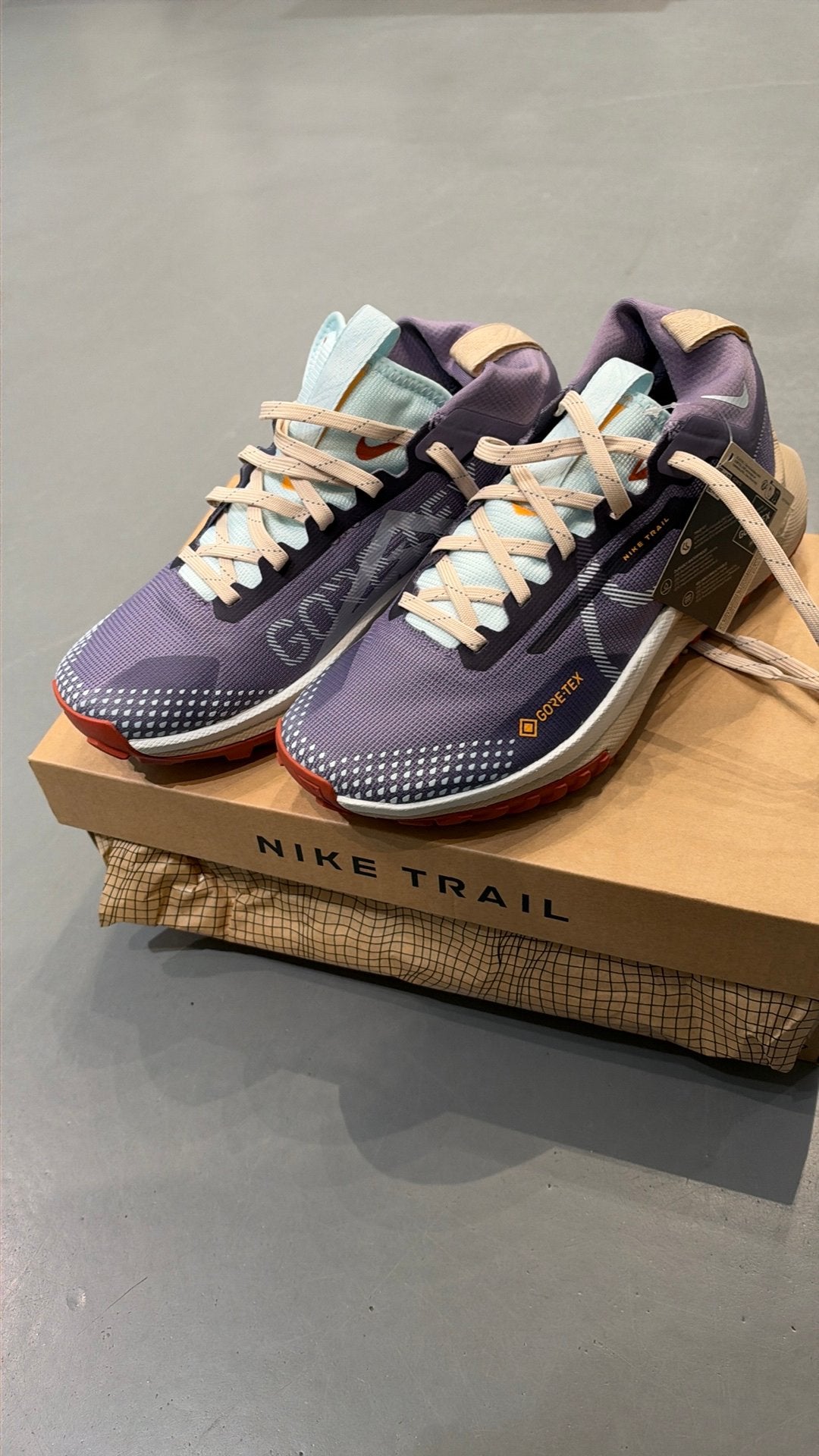 NIKE. Pegasus trail 4 GTX, Kleding | Dames, Overige kleuren, Verzenden, Sportschoenen, Nieuw