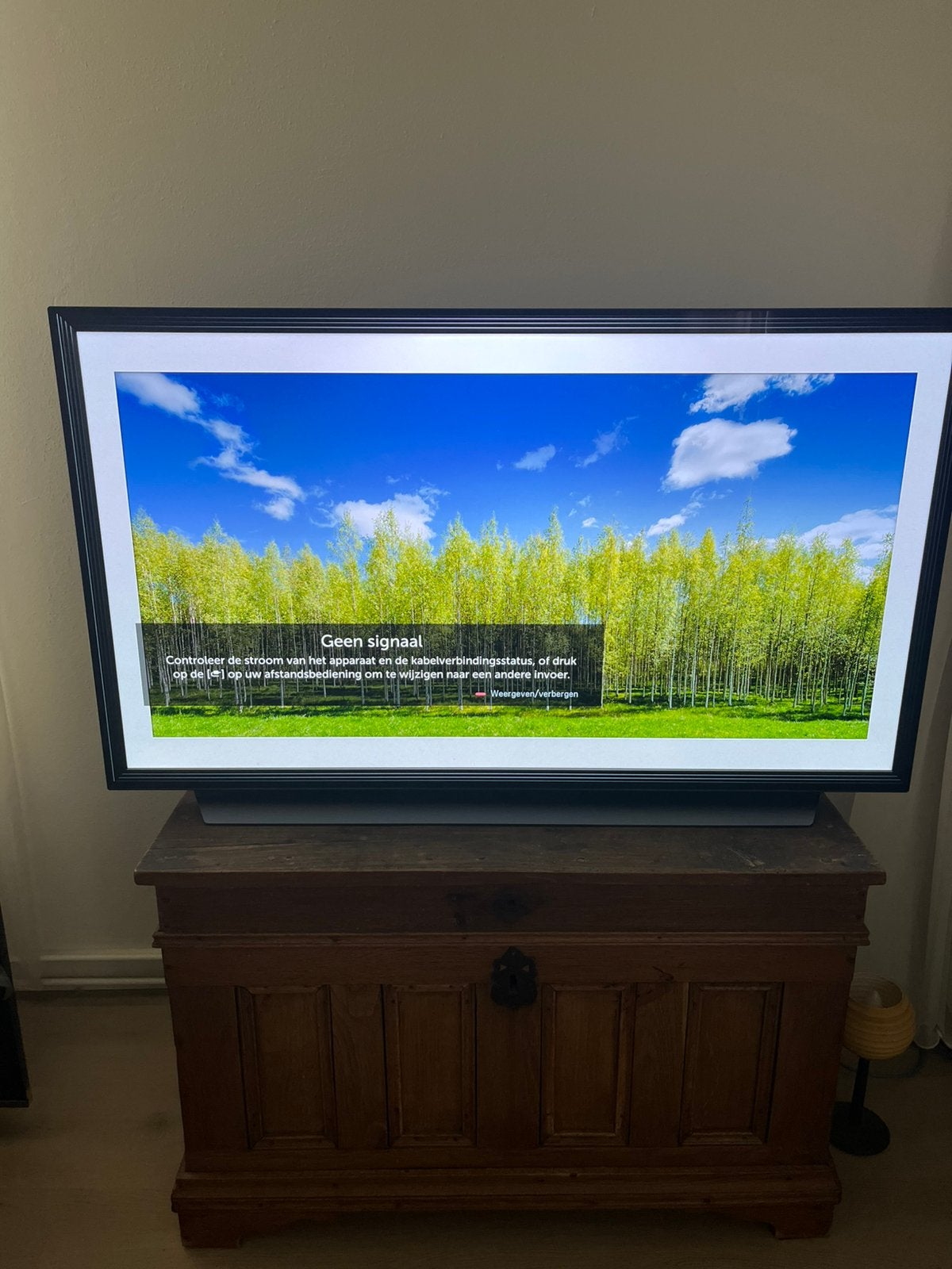 LG Oled TV, Ophalen, Gebruikt, 100 cm of meer, LG