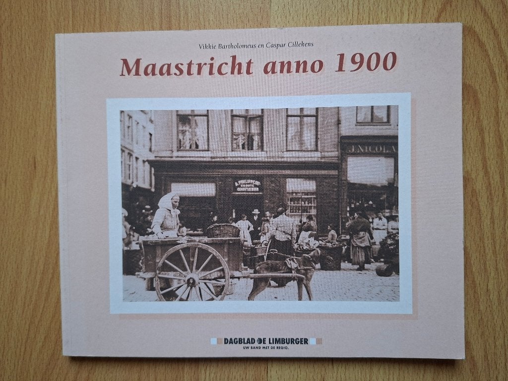 Maastricht anno 1900, Ophalen of Verzenden, Zo goed als nieuw