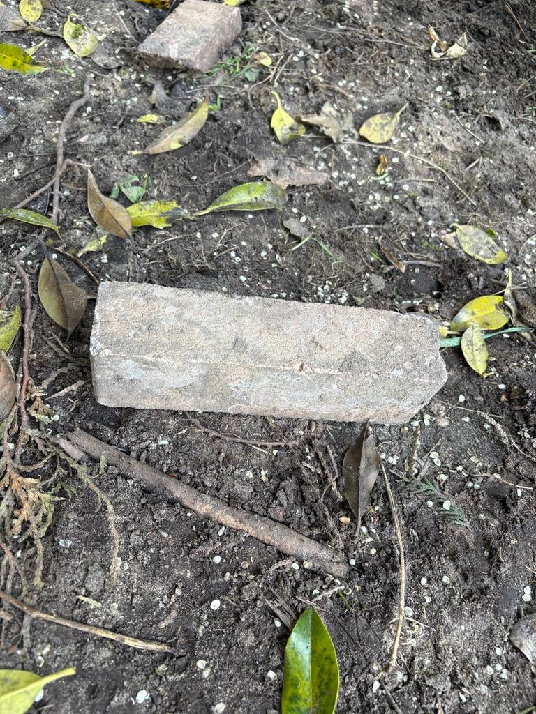 Gratis af te halen: ca. 8-9 m2 gebruikte betonwaaltjes, Tuin en Terras, Tegels en Klinkers, Ophalen of Verzenden, Zo goed als nieuw