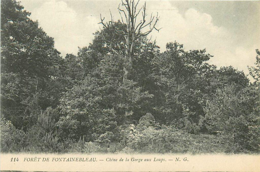 701-477-049 Fontainebleau, Verzenden, Voor 1920, Frankrijk
