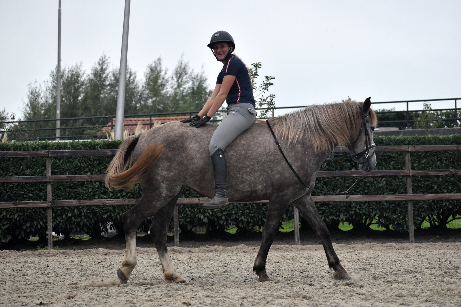 Super knappe en onwijs lieve schimmel merrie, B, Gechipt, 3 tot 6 jaar, Recreatiepony