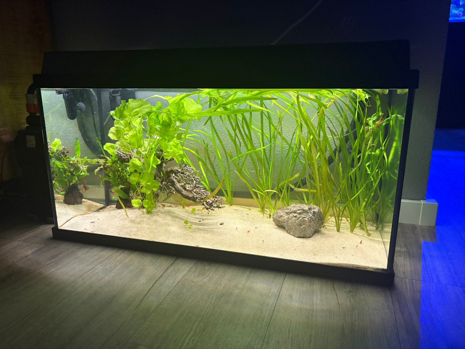 Juwel primo 110 aquarium, Dieren en Toebehoren, Ophalen of Verzenden, Zo goed als nieuw, Leeg aquarium