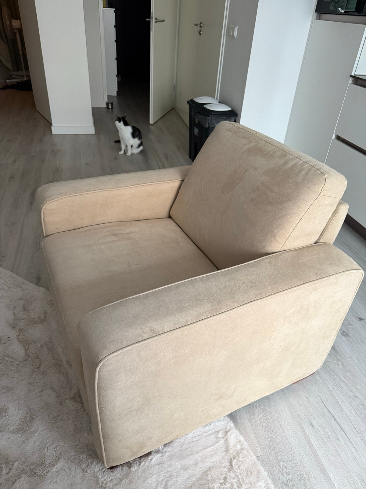Mooie stoel gratis af te halen in Zoetermeer, Ophalen, Gebruikt, Overige kleuren, Eén