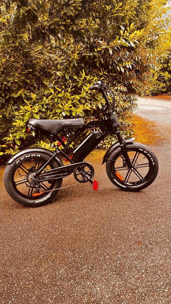 Fatbike v20 pro 6.0, Gebruikt, 59 cm of meer, 50 km per accu of meer, Ophalen
