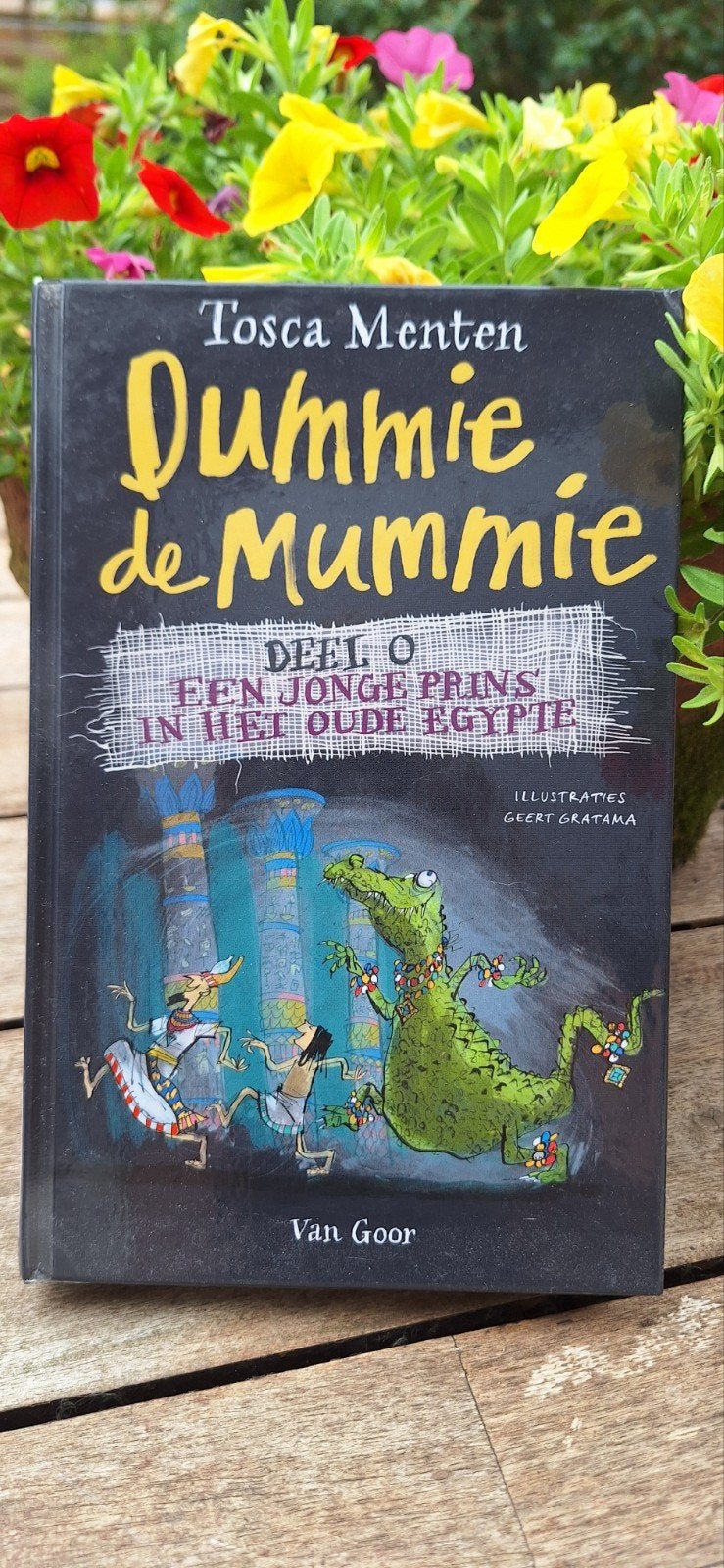 Tosca Menten - Een jonge prins in het oude Egypte, Boeken, Ophalen of Verzenden, Zo goed als nieuw, Tosca Menten