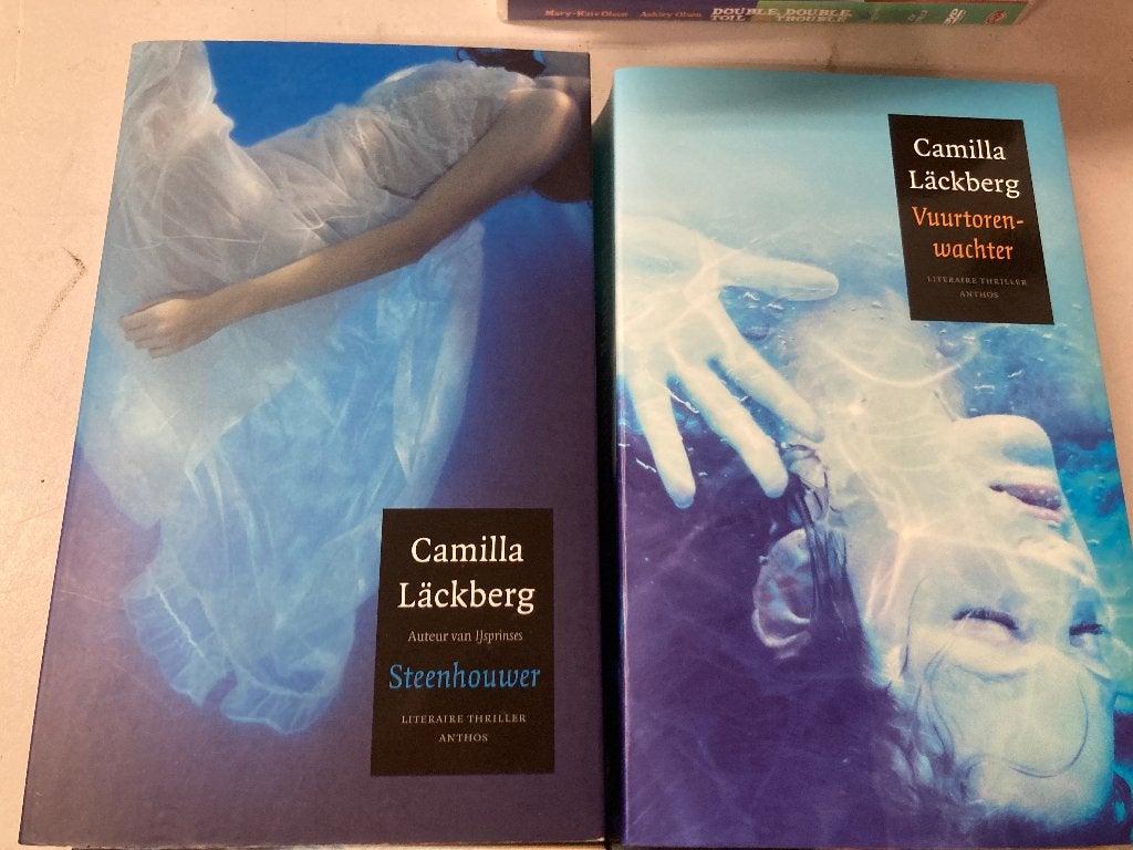 T.K. nog 2 boeken van Camilla Läckberg Zie actuele lijst, Ophalen of Verzenden, Gelezen, Camilla Läckberg, Wereld overig