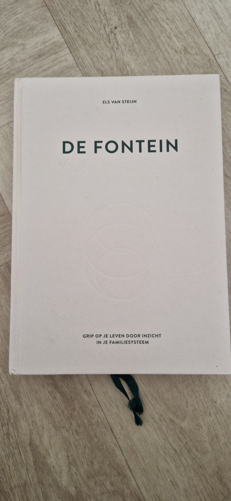De Fontein - Els van Steijn, Boeken, Ophalen of Verzenden, Zo goed als nieuw, Overige onderwerpen, Els van Steijn