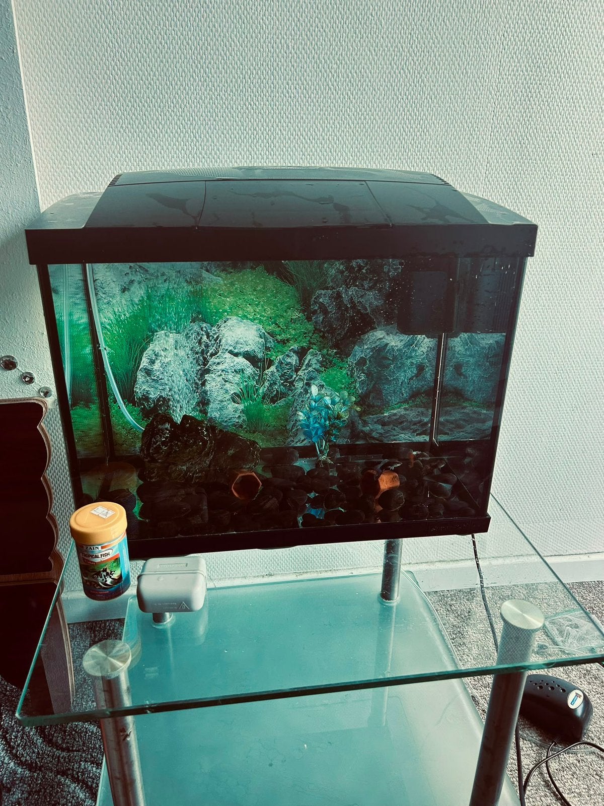 Mooi aquarium met vissen en toebehoren, Ophalen, Zo goed als nieuw