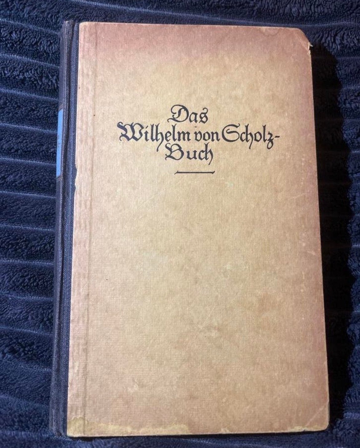 Das Wilhelm von Scholz Buch - Een selectie van zijn werken, Ophalen of Verzenden, Gelezen, Europa overig