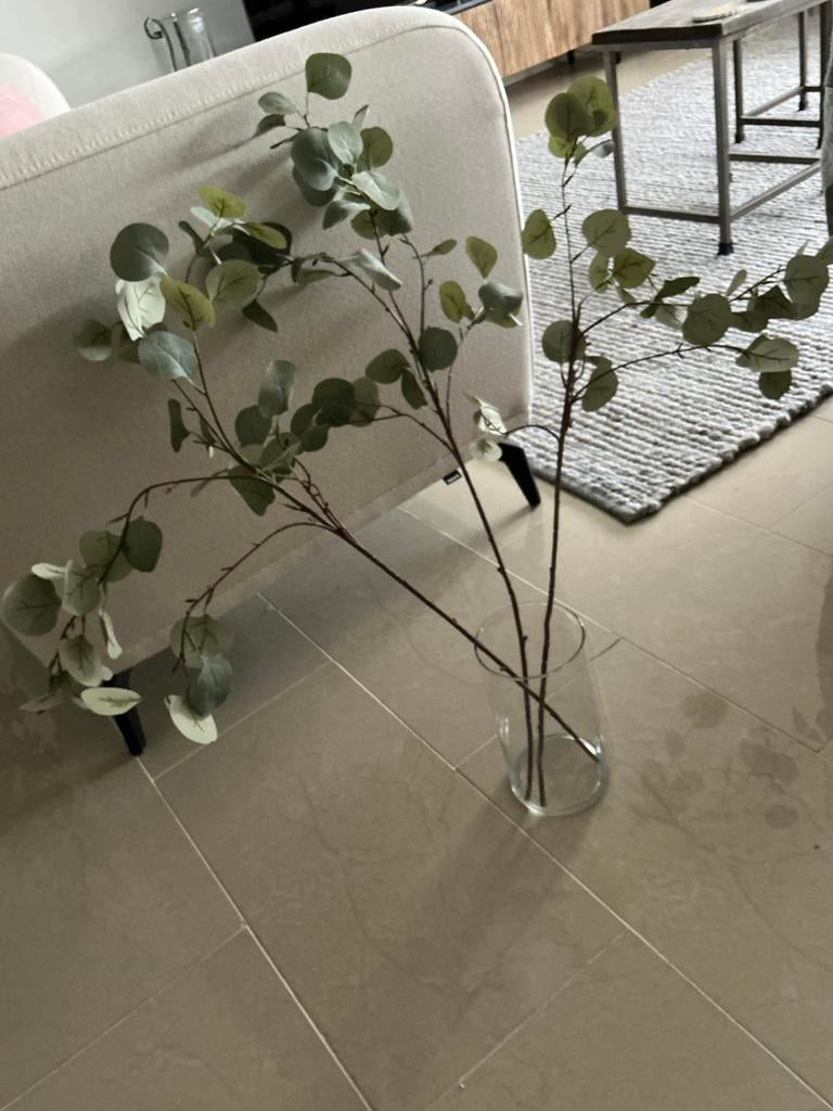 prachtige eucalyptus takken, Ophalen of Verzenden, Zo goed als nieuw