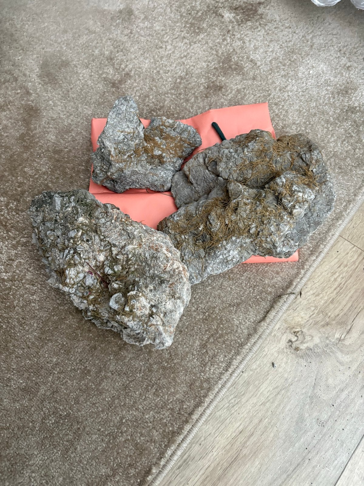 3 grote stenen voor visbak, Ophalen, Plant(en), Steen of Hout