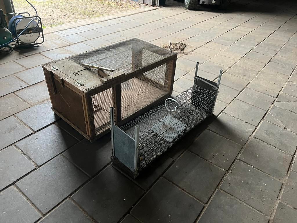 Te koop aangeboden: 2x vangkooi, Ophalen, Gebruikt