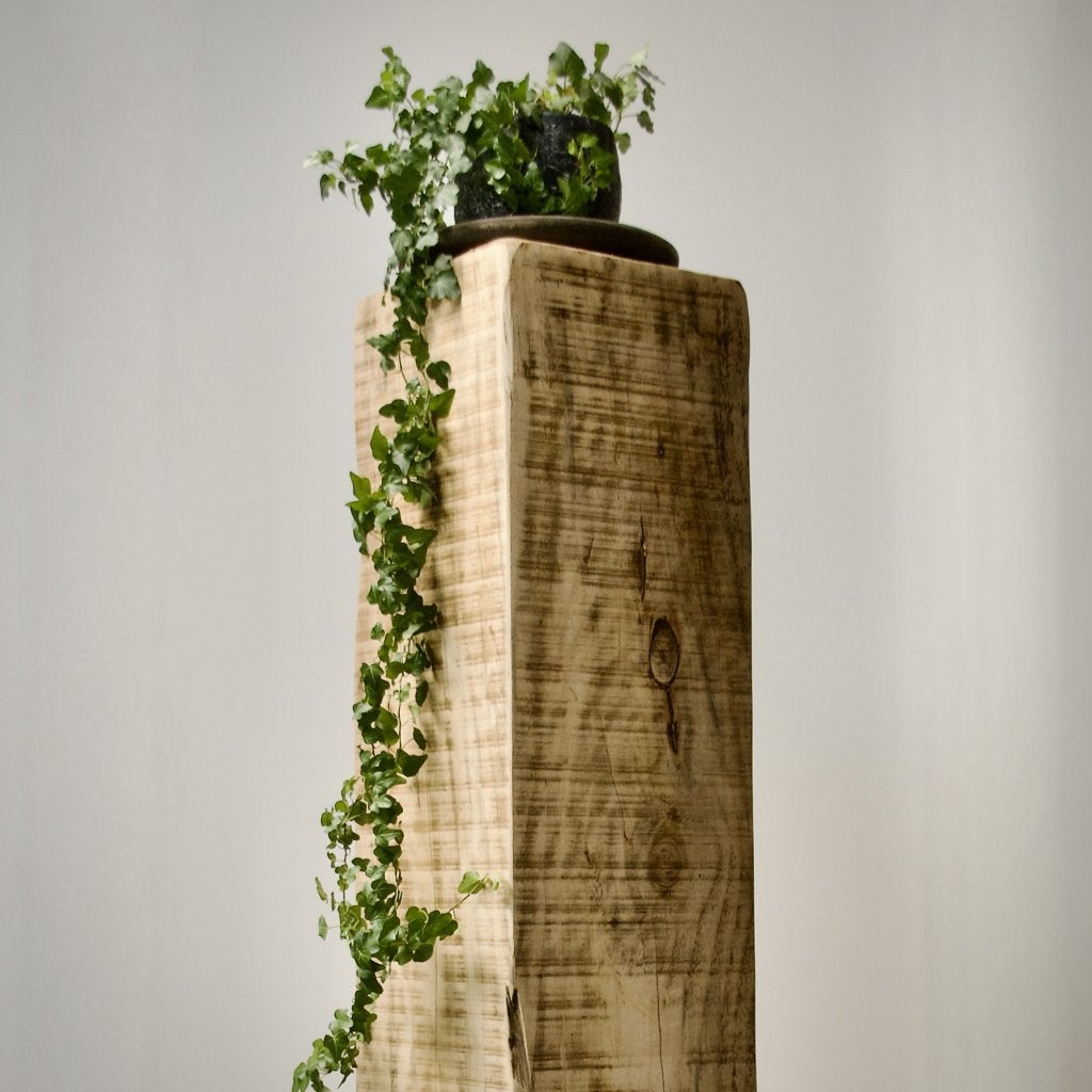 Houten meerpaal en stuwhout Zuilen, Info@harbourwood.nl, Hertog van bijerenstraat 2a, Nieuw, Ophalen of Verzenden